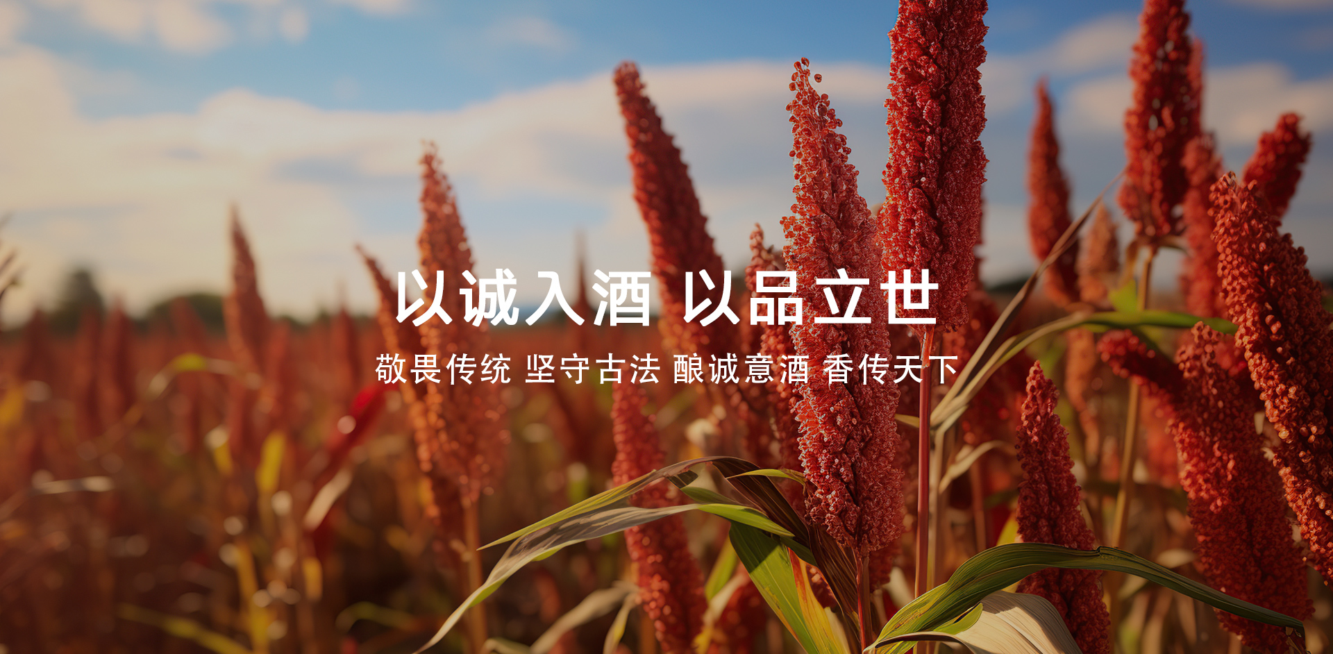 以诚入酒 以品入世